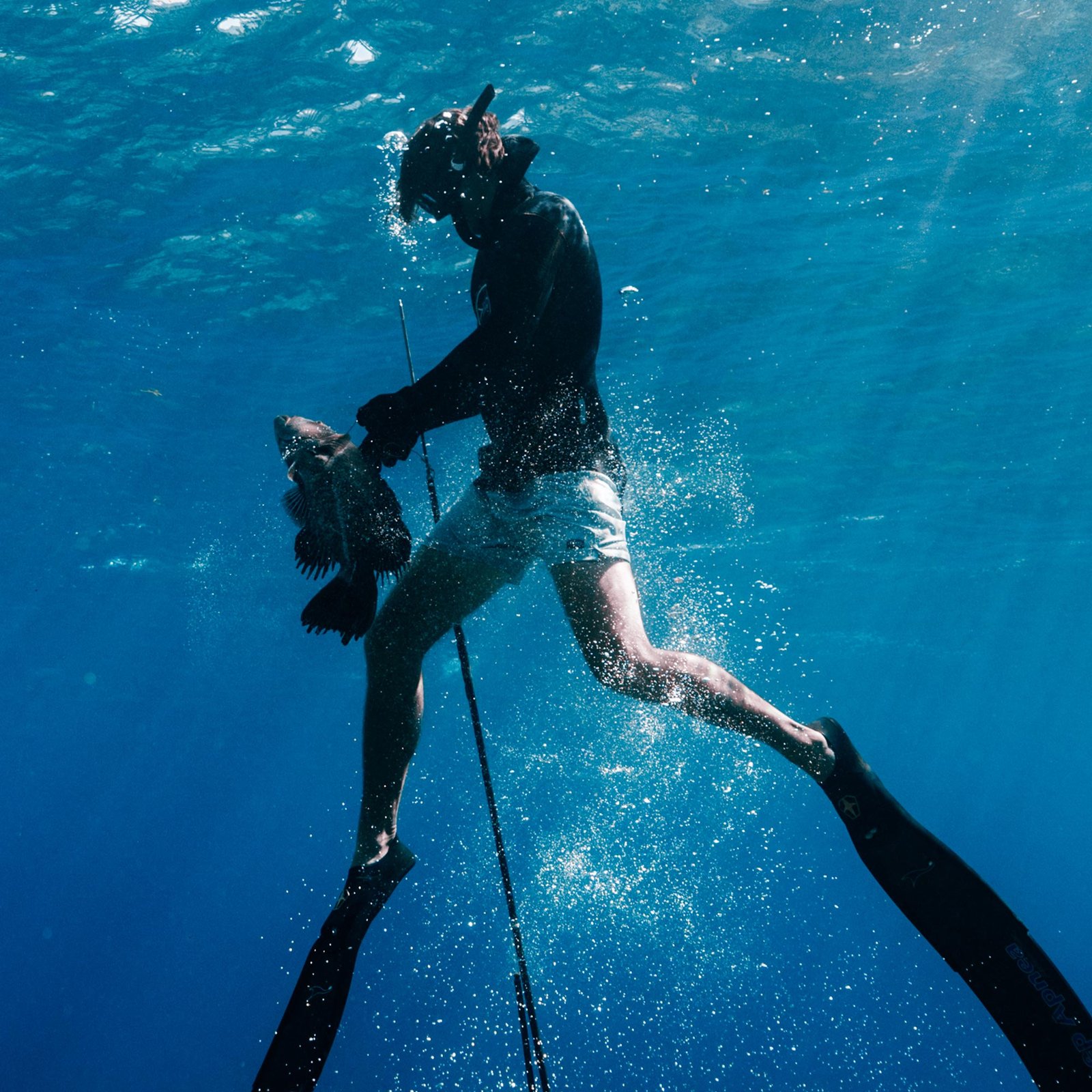 Strike Swim Shorts | Conch